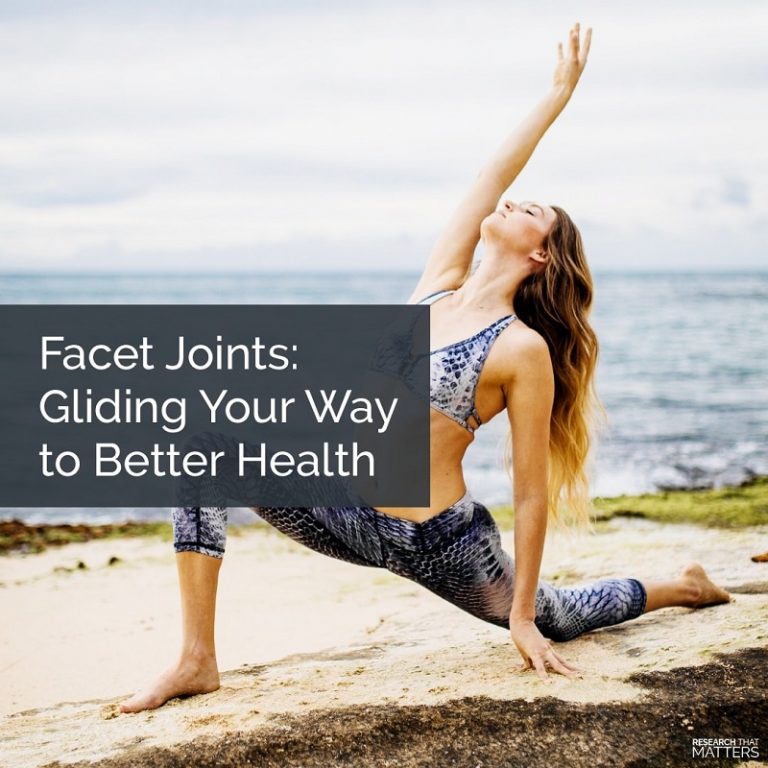 Facet Joints Gliding Your Way to Better Health Unison Chiropractic