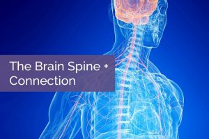 The Brain + Spine Connection